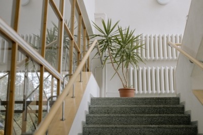 A plant sitting on a staircase landing in a home.